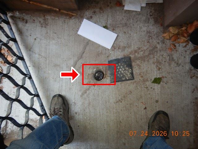 Cellar floor drain and cleanout. In a flood zone, where the water leaves matters as much as where it gets in.