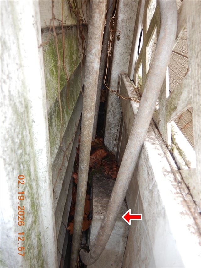 Inspection photograph of decayed painted woodwork with biological growth in a narrow side yard
