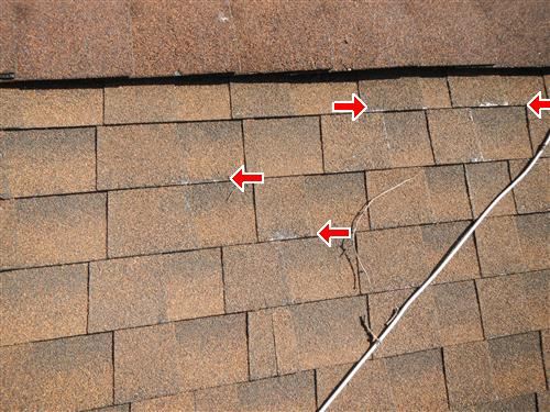 Roof defects arrowed individually rather than summarised as "roof is old".