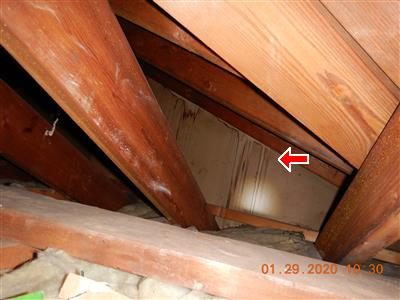 Attic rafters with a red arrow pointing to brown water stains on the sheathing.