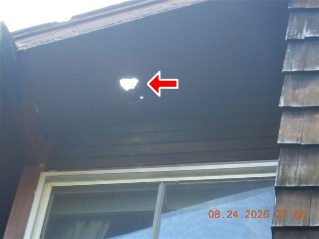 Dark-painted soffit above a window with a hole showing daylight through it, marked with a red arrow.