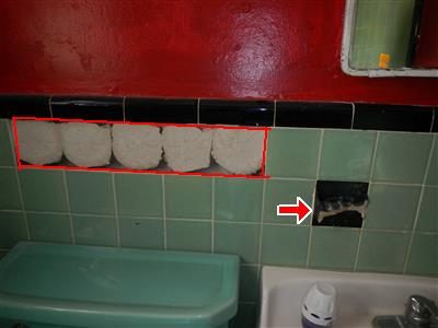 Green tiled bathroom wall with a red box around a row of missing tiles and a red arrow at a broken soap dish by the sink.