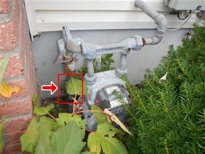 Grey gas meter and piping against a house wall among shrubs, red box and arrow on the shut-off valve.