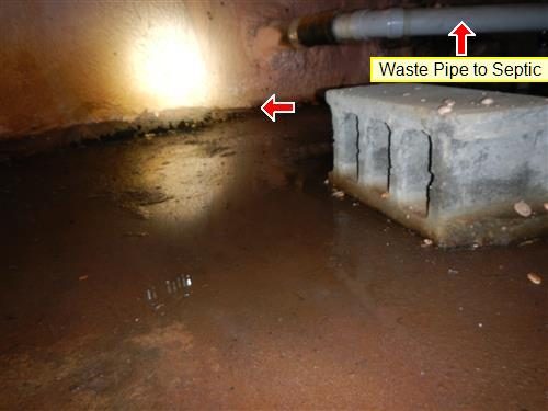 Crawl space with standing water on the dirt floor, foam-coated foundation wall and a block pier; red arrow at the foam edge, label reads Waste Pipe to Septic.