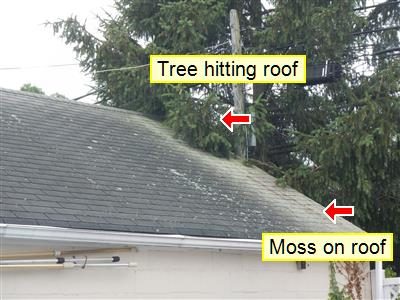 Asphalt shingle roof with green moss and an evergreen tree pressing on it, labelled Tree hitting roof and Moss on roof.
