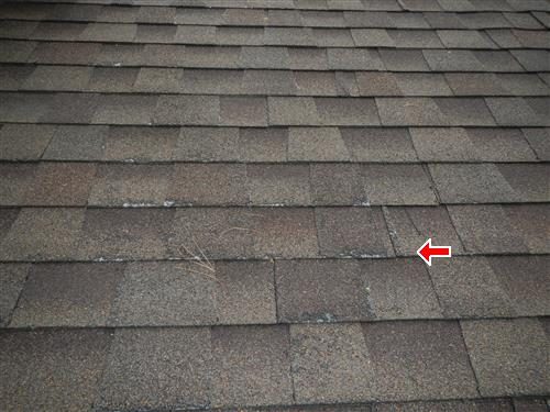 Close view of brown asphalt roof shingles with a red arrow marking a worn patch where the backing shows.