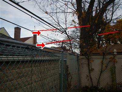 Overhead electrical service wires passing through tree branches, traced with red lines and two arrows.