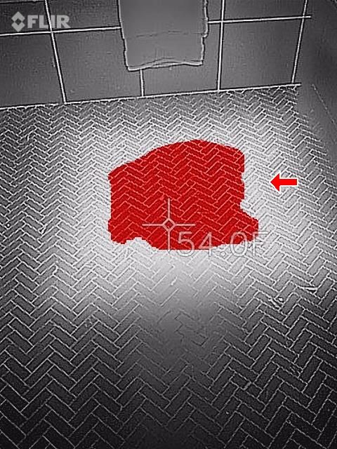 FLIR thermal image of a herringbone tile bathroom floor with one warm red patch and a 54.0F reading.