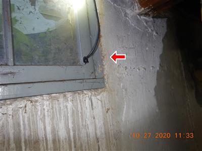 Corner of a basement window frame against a concrete wall with a red arrow pointing to a mud tunnel.
