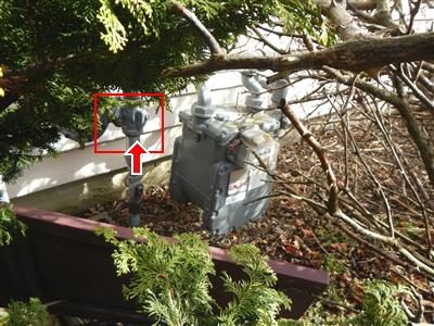 Gas meter beneath shrubs beside a house, with a red box and arrow marking the shut-off valve above it.