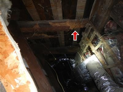 Attic roof rafters seen from below with a red arrow pointing to a damaged rafter beside a duct.