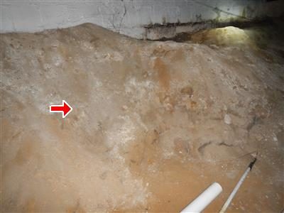 Bare soil floor in a low crawl space under a basement, with a white pipe at the lower right and a red arrow.