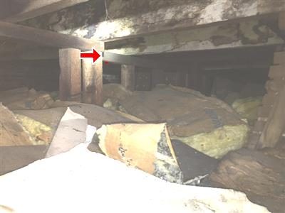 Attic framing with a red arrow pointing to where roof rafters bear on a wall, insulation and debris below.