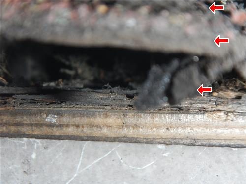 Close-up of a roof edge showing several stacked shingle layers over the sheathing, three red arrows.