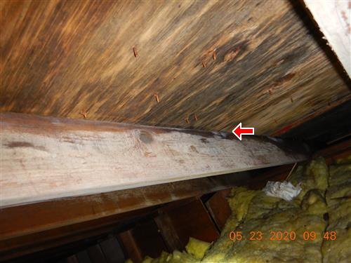 Dark water staining along a wood ridge beam and roof sheathing in an attic, one point arrowed.