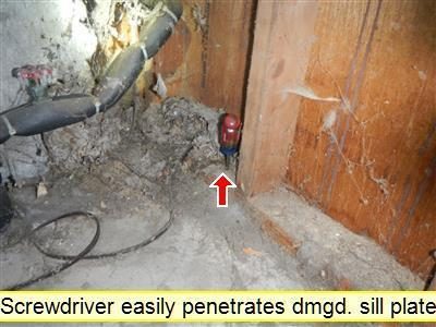 Crawl space sill plate with a screwdriver stuck into it, a red arrow and the label screwdriver easily penetrates damaged sill plate.