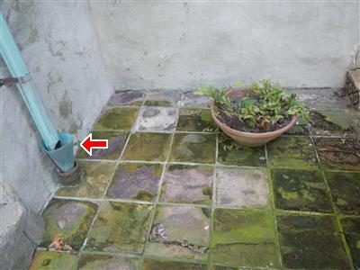 Mossy tiled patio corner with a downspout entering a funnel drain, a red arrow at the funnel.
