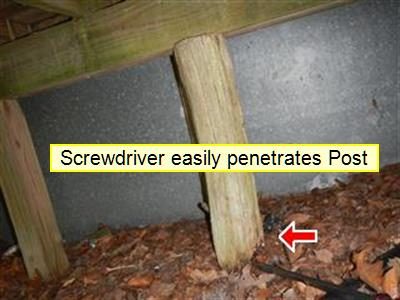 Wood post under a deck with a red arrow at its base and the label screwdriver easily penetrates post.
