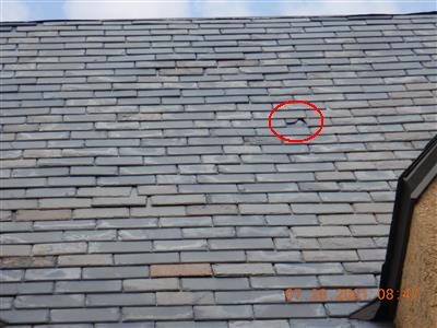 Slate roof seen from above with a red circle around a broken slate.
