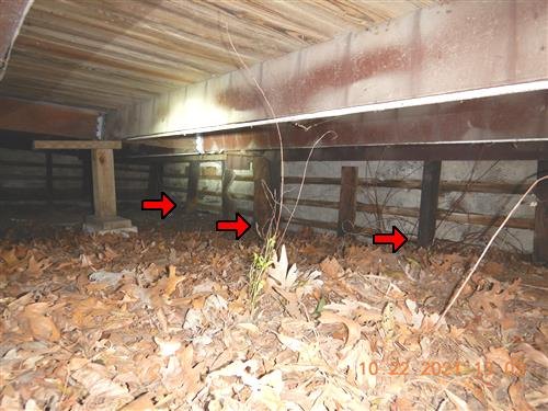 A low crawlspace with dry leaves and debris accumulated around wood posts, three arrows marking contact points.