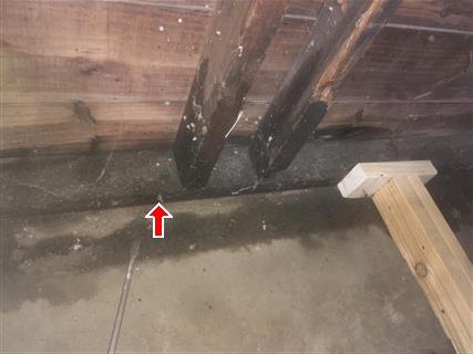 Dark-stained wood framing members meeting a concrete slab, red arrow at stained area near the base