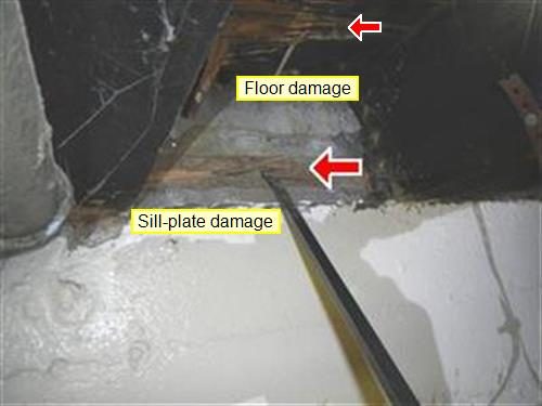 Dark basement corner with a screwdriver pushed into wood, labelled floor damage and sill-plate damage, three red arrows.