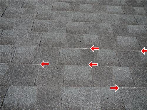 Grey asphalt shingle roof with several red arrows pointing at worn shingle edges.