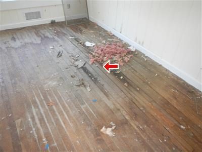 Hardwood floor with warped and lifted boards, a red arrow pointing to a pile of pink insulation and debris on the boards.
