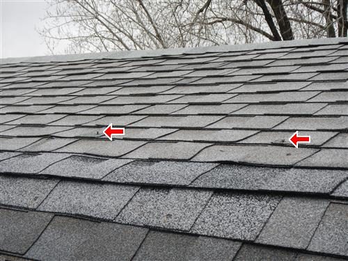 Asphalt shingle roof with two red arrows pointing to popped nail heads.