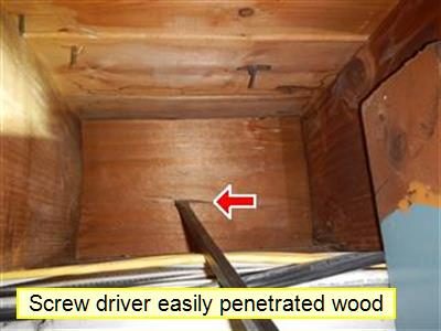 Wood rim joist in a basement with a screwdriver pressed into it, red arrow and the label screw driver easily penetrated wood.