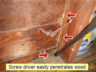 Wood sill plate and 2x4 stud beside a door with three red arrows, labelled screw driver easily penetrates wood.