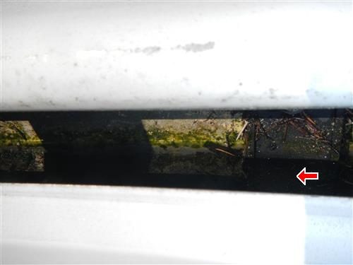 Looking down into a white gutter holding standing water and green debris, with a red arrow.