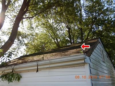 Garage roof covered in moss under overhanging trees, with a red arrow pointing at the shingles near the ridge.