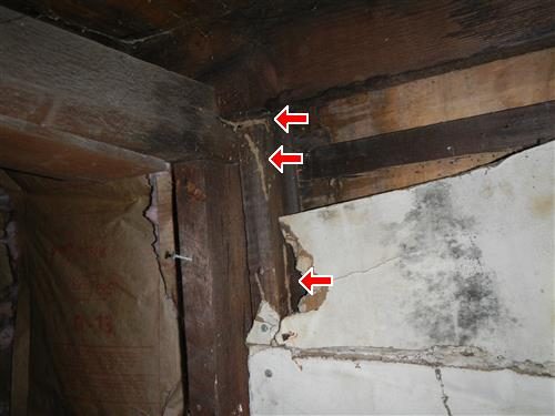 Dark crawl space corner where wooden joists meet a foundation wall, with three red arrows pointing at mud lines on the wood and wall.