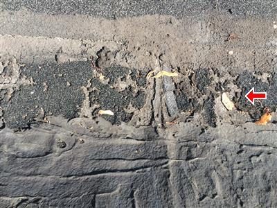 Close-up of flat roofing with surface mineral worn away and the base material exposed; a red arrow points at the worn area.