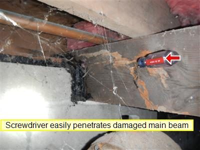 Wood main beam in a crawl space with a screwdriver pushed into damaged wood, labelled by the report, red arrow at the tip.