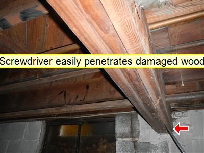 Wooden main beam and sill plate over a block foundation wall, labelled screwdriver easily penetrates damaged wood, with a red arrow.