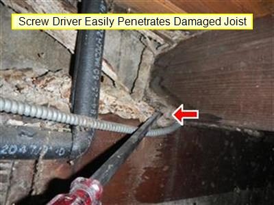 Crawl space floor joist with a screwdriver pushed into damaged wood, labelled by the report, red arrow at the tip.