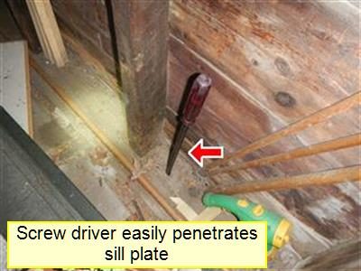 Screwdriver stuck into a wood sill plate at the base of a wood-framed wall, with a red arrow and a report label.