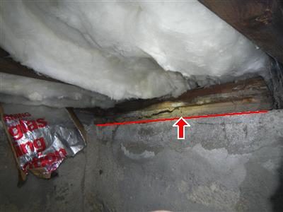 Crawl space corner with fibreglass insulation above a concrete wall; a red line and arrow mark the wood sill plate.