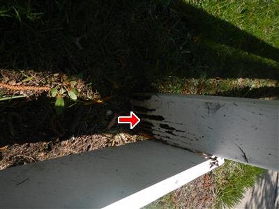 Red arrow at a dark decayed section of white-painted wood board at ground level