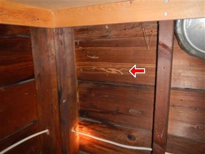 Red arrow at winding light-colored channels on dark wood plank framing