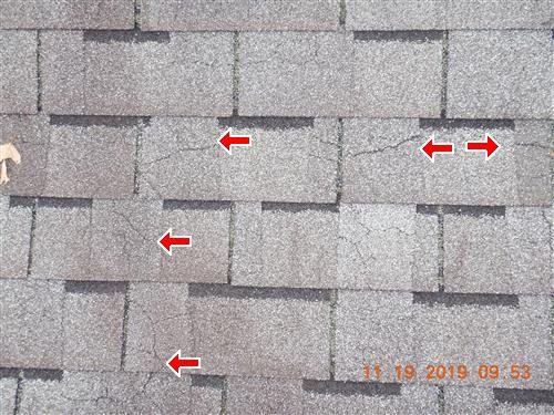 Brown asphalt shingle roof with five red arrows pointing at cracks across the shingles.