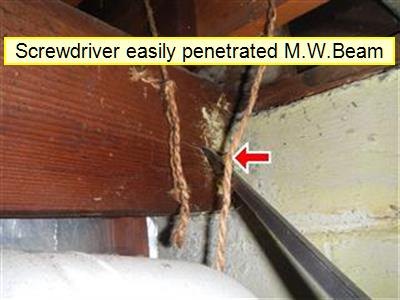 Wood beam in an unfinished space, label reading screwdriver easily penetrated main wood beam