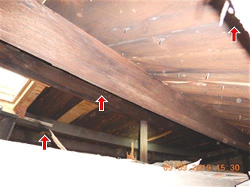 The underside of roof rafters and boards on a top floor, with staining marked by red arrows.