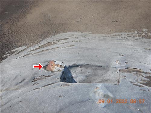 Silver-coated flat roof with red arrow at a raised patched area with exposed dark membrane