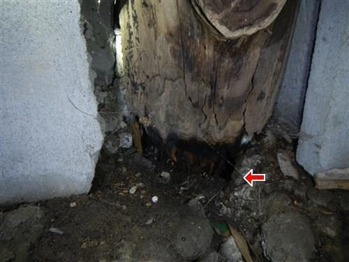 Base of a wooden post between two concrete blocks, wood split and crumbling, with a red arrow at the damage.