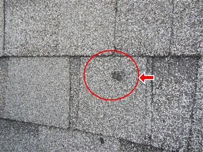 Close-up of grey asphalt shingles with a small dark hole circled in red and marked by a red arrow.