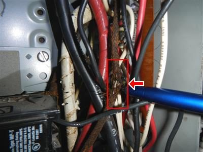 Bundle of wires inside a main electrical panel with frayed cloth insulation, red box and arrow marking an exposed conductor.