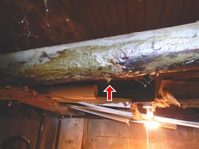 Corroded cast iron drain pipe running across a basement ceiling with a red arrow pointing at a hole in its underside.